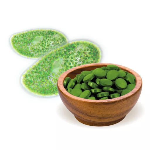 BioMenü bio Chlorella tabletky 250 g suroviny