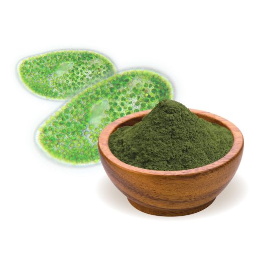BioMenü bio Chlorella prášok 125 g suroviny