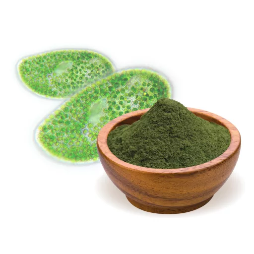 BioMenü bio Chlorella prášok 250 g suroviny