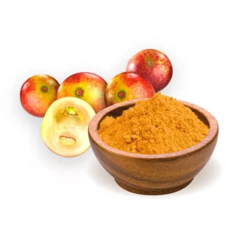 BioMenü bio Camu Camu prášok 60 g obrázok produktu