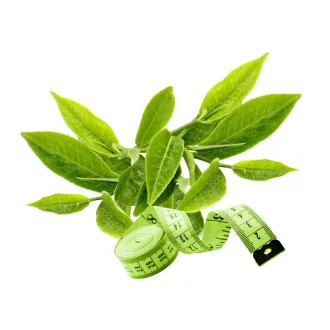 Caleido GreenSlim Zelený Čaj kapsuly 90 ks obrázok produktu