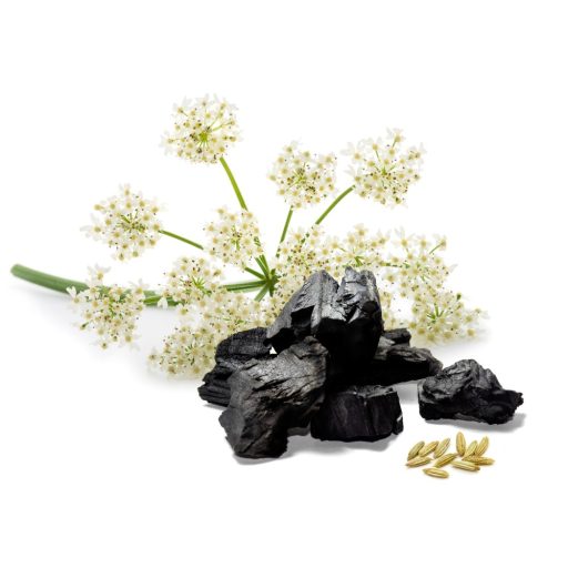 Caleido Aníz + Aktívne Uhlie kapsuly 60 ks suroviny