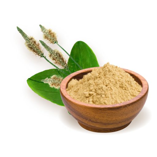 BioMenü bio Psyllium Semená Škrupina múka 125 g suroviny