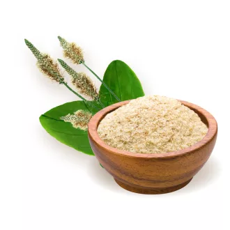 BioMenü bio Psyllium Semená Škrupina 125 g obrázok produktu