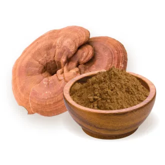 BioMenü bio Ganoderma Hubový prášok 100 g obrázok produktu