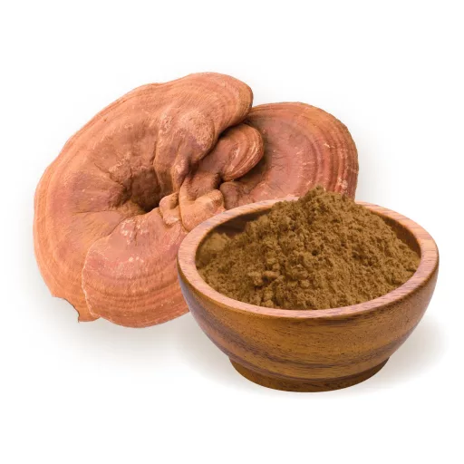 BioMenü bio Ganoderma Hubový prášok 100 g suroviny