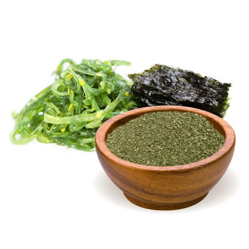 BioMenü bio Kelp Morské Riasy prášok 125 g suroviny