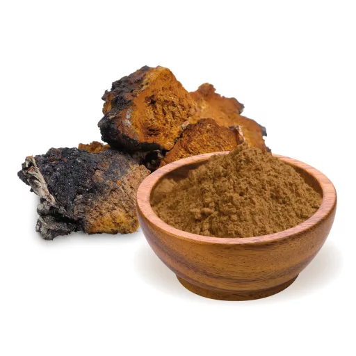 BioMenü bio Chaga Hubový prášok 100 g suroviny
