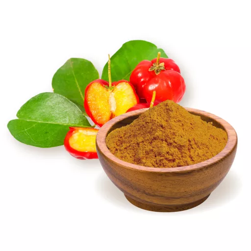 BioMenü bio Acerola Bobule prášok 60 g suroviny
