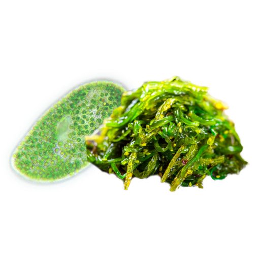 BioMenü bio Chlorella a Spirulina kapsuly 60 ks suroviny