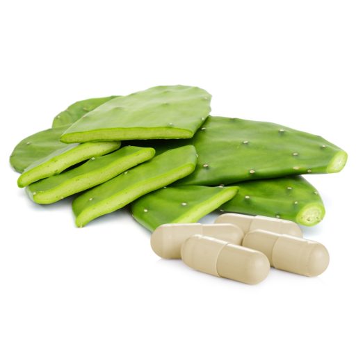 Caleido Opuncie + Prebiotické kapsuly 60 ks suroviny