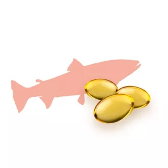 Caleido Losos Olej + Borák Lekársky Olej, omega 3-6-9 kapsuly 60 ks obrázok produktu