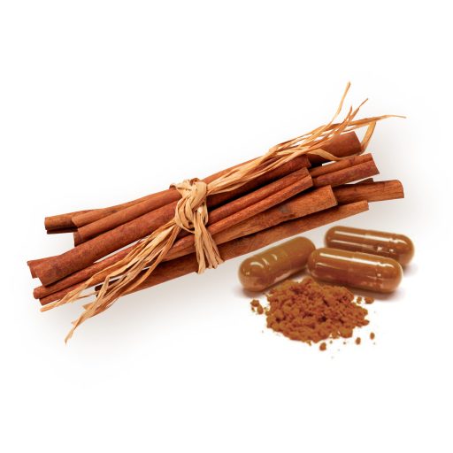 BioMenü bio Cejlónska Škorica kapsuly 60 ks suroviny