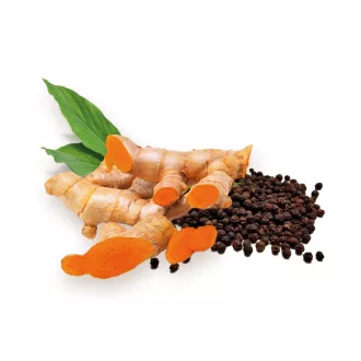 BioMenü bio Kurkuma + Čierne Korenie kapsuly 60 ks obrázok produktu
