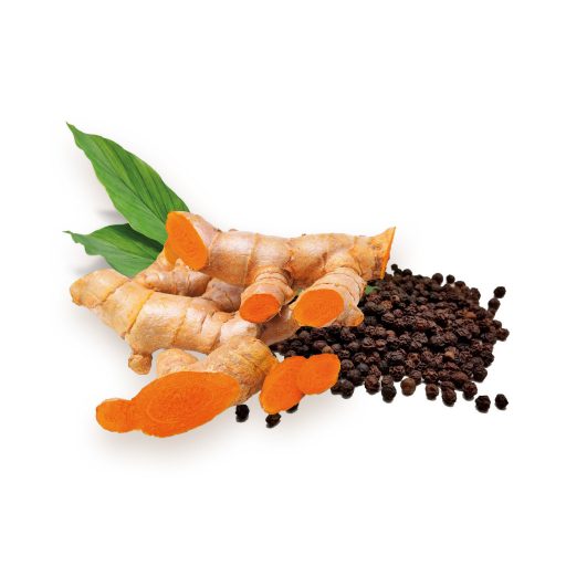 BioMenü bio Kurkuma + Čierne Korenie kapsuly 60 ks suroviny