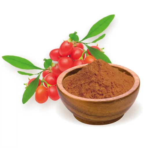 BioMenü bio Goji Bobule prášok 60 g suroviny
