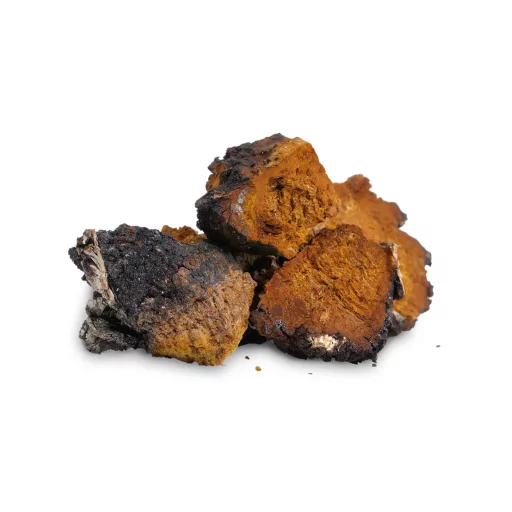 BioMenü bio Chaga huba kapsuly 60 ks suroviny