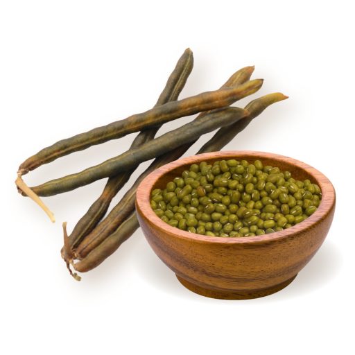 BioMenü Bio Fazuľa Mungo 500 g suroviny