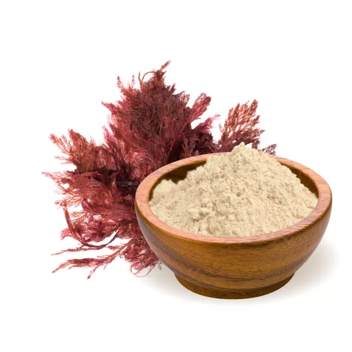 BioMenü Bio Agar-agar prášok 60 g suroviny