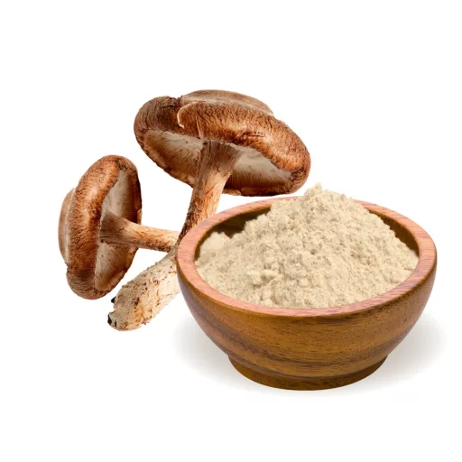 BioMenü Bio Shiitake Hubový kapsuly 60 ks suroviny