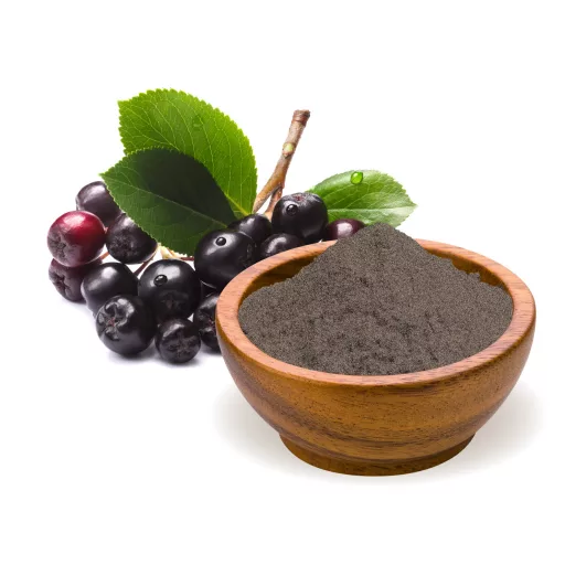 BioMenü Bio Arónia prášok 125 g suroviny