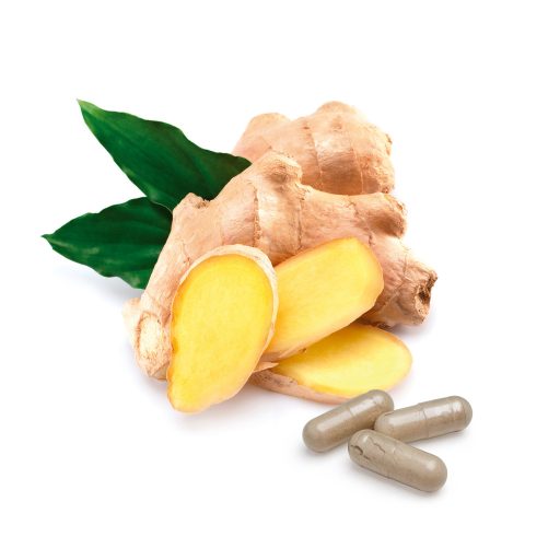 BioMenü bio Zázvor kapsuly 60 ks suroviny