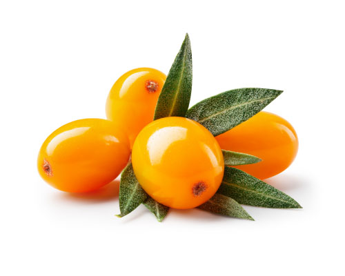 Olej zo semien rakytníka