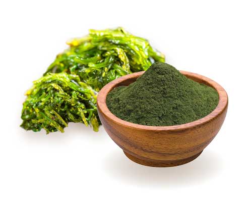 Spirulina